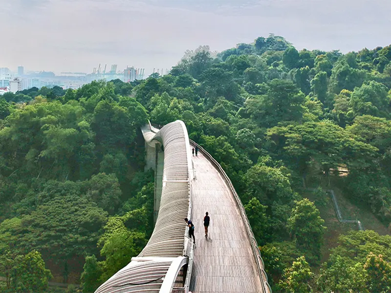 Henderson Waves connecting Telok Blangah Hill and Mount Faber
